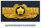 Superintendent Supervisor Insignia.jpg