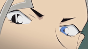 Curacao eyes.png