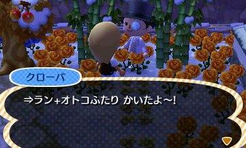 File:AChint28-12-2020 4.jpg