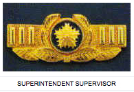 File:Superintendent Supervisor Insignia.jpg