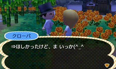 File:AChint28-6-2017 4.jpg