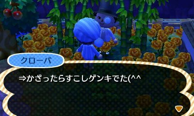 File:AChint22-7-2019 4.jpg