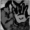 Thumbnail for version as of 14:14, 9 February 2016