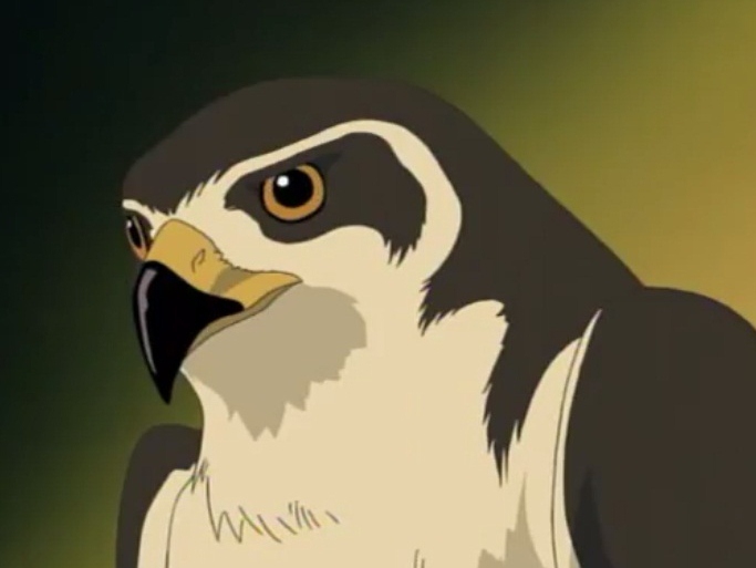 File:Hawk Watson.jpg