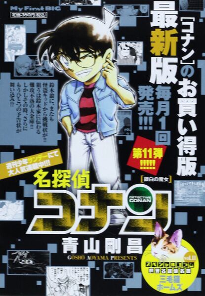 File:Ginshiro No Majo (Book).jpg
