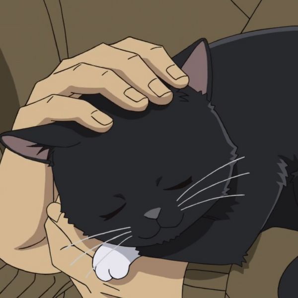 File:EP1120 Cat.jpg