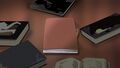 Thumbnail for version as of 15:10, 7 January 2023