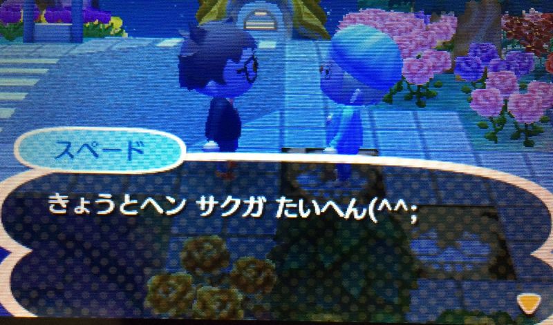 File:AChint28-8-2017 1.jpg