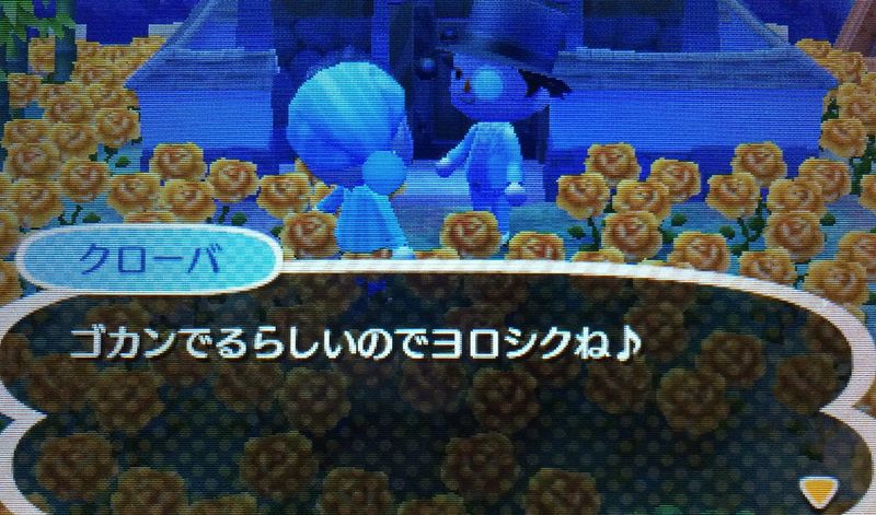 File:AChint28-4-2017 4.jpg