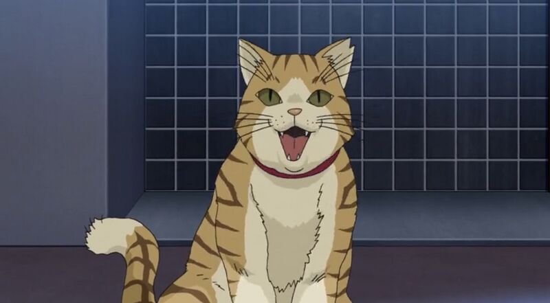 File:EP1002-16.jpeg