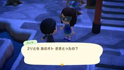 ACHint16-2-2026 3.JPG