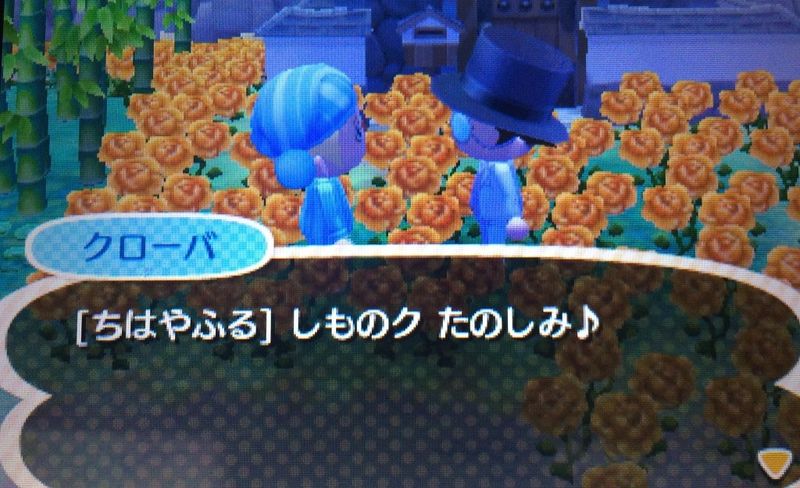 File:AChint4-23-2016 4.JPG