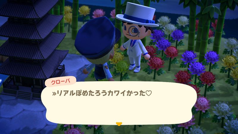 File:AChint12-9-2022 4.jpg