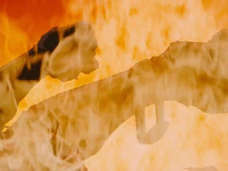 File:EP174 Case1.jpg