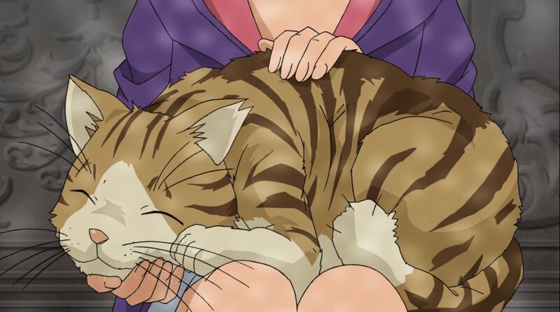 File:EP1002 2.jpeg