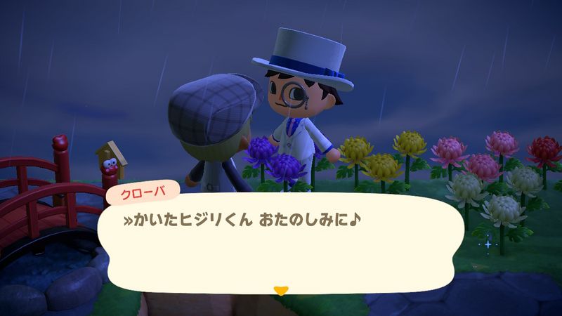 File:ACHint5-13-2024 4.jpg