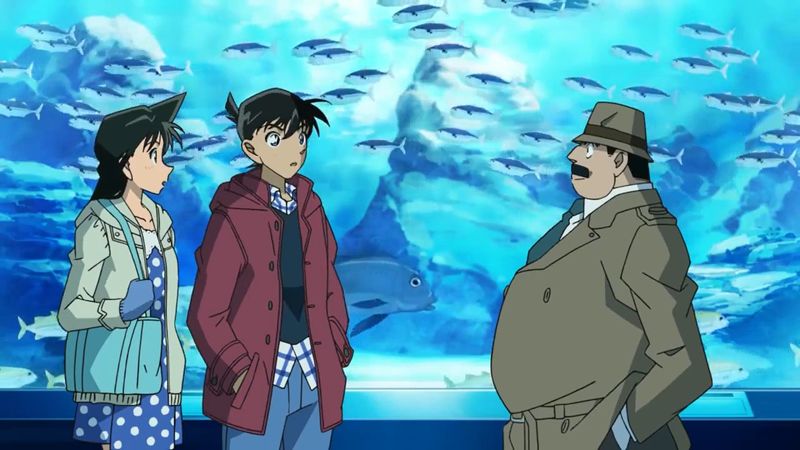 File:Aquarium Case.jpg