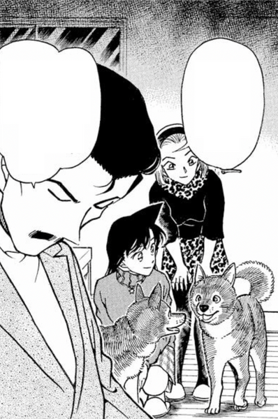 File:CH334 DoubleDogs.png