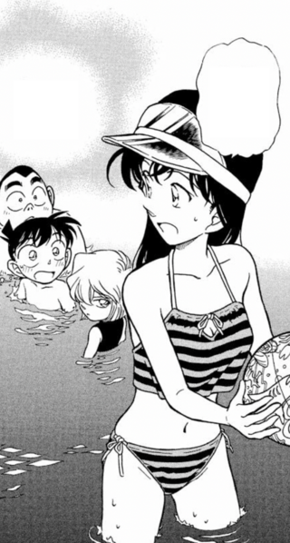 File:CH311 RanMeetsDB.png