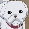 Thumbnail for version as of 14:09, 6 September 2014