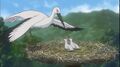 Thumbnail for version as of 11:08, 12 December 2023