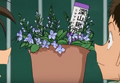 Thumbnail for version as of 19:53, 2 May 2018