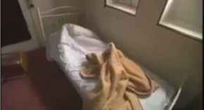 Dramaspecial1 Case.png