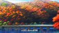 Thumbnail for version as of 01:09, 8 October 2017