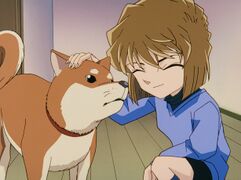The Evidence That Didn't Disappear/Gallery - Detective Conan Wiki