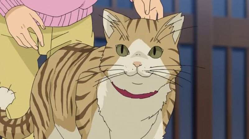 File:EP1002-19.jpeg