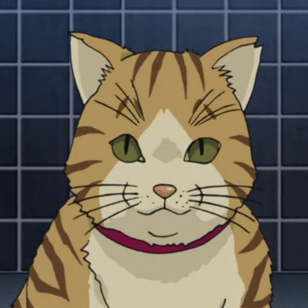 File:EP1002 Cat.jpg