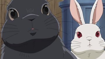 Akemi Miyano's Time Capsule/Gallery - Detective Conan Wiki