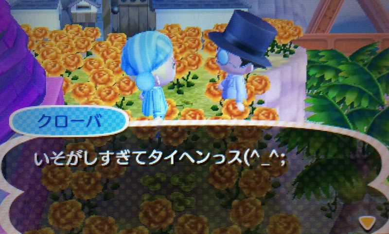 File:AChint2-10-2017 4.jpg