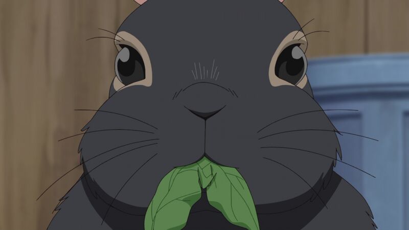 File:EP1093-3.jpeg