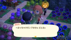 ACHint30-6-2025 3.jpg