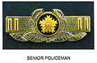 Senior Police Officer.jpg
