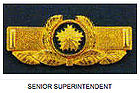 Senior Superintendent Insignia.jpg