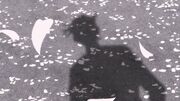 Shinichi's shadow