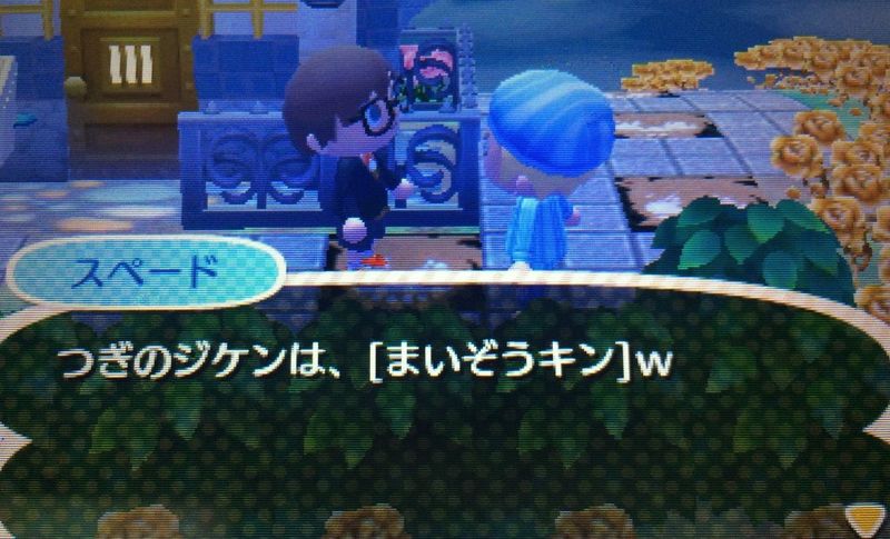 File:AChint4-23-2016 1.JPG