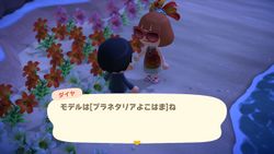 ACHint16-2-2026 4.JPG