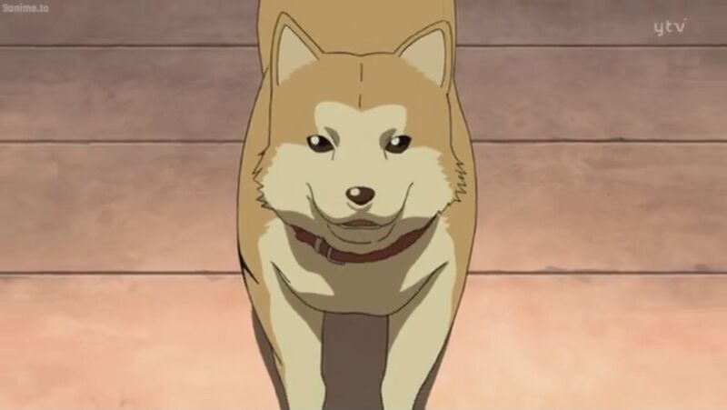 File:EP611 1.jpeg