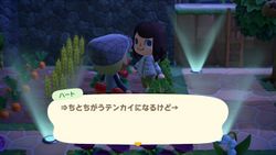 ACHint4-28-2025 3.jpg