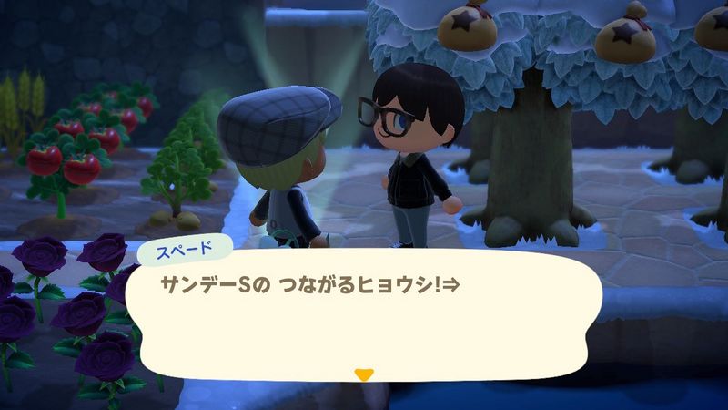 File:ACHint1-27-2025 1.jpg