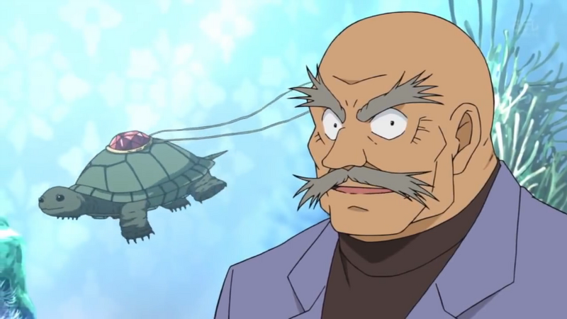File:724-5 I like turtles.png