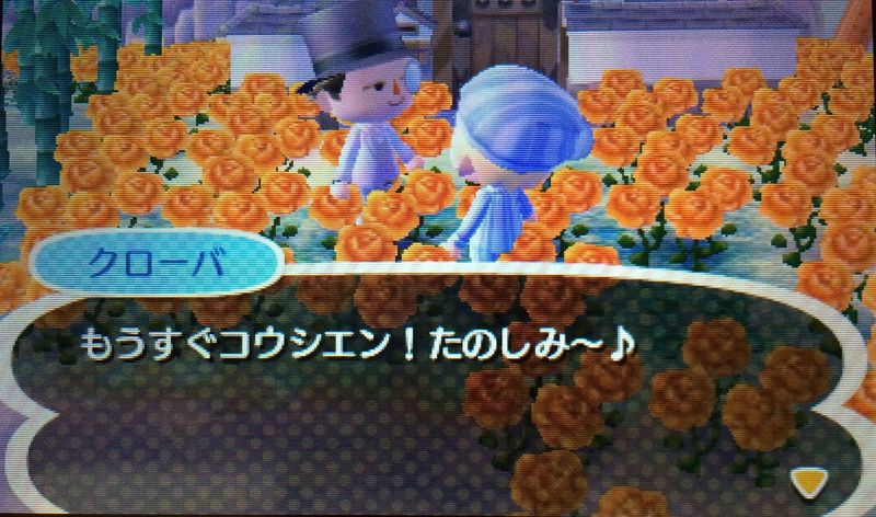 File:AChint8-03-2016 4.JPG