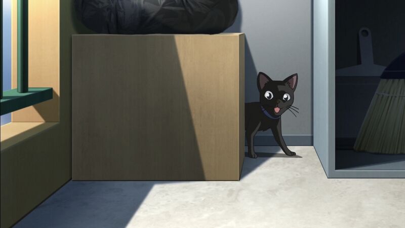 File:EP914 10.jpeg