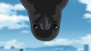 EP876-crow.jpg