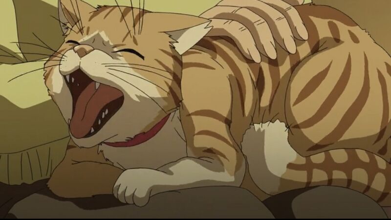 File:EP1002 8.jpeg