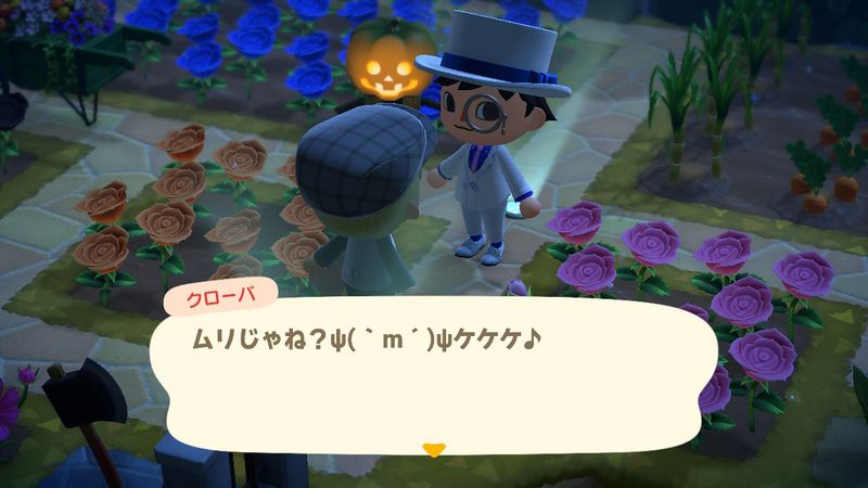 File:ACHint27-11-2023 4.jpg