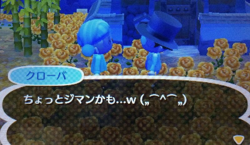 File:AChint11-03-2016 4.JPG